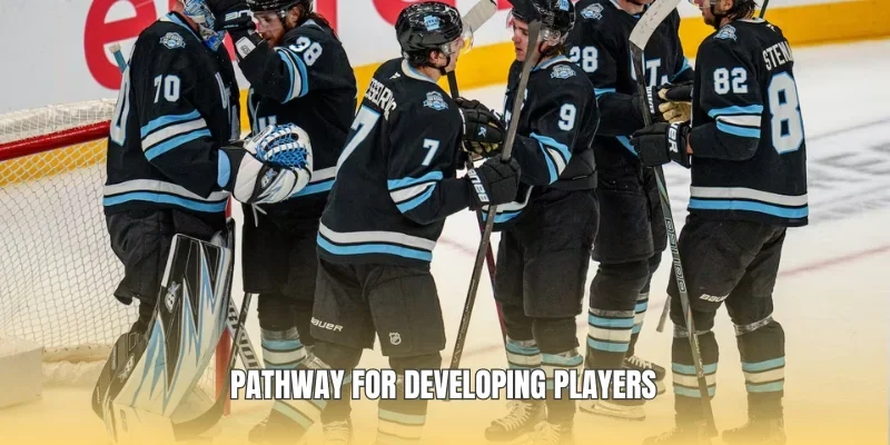 Pathway for developing players