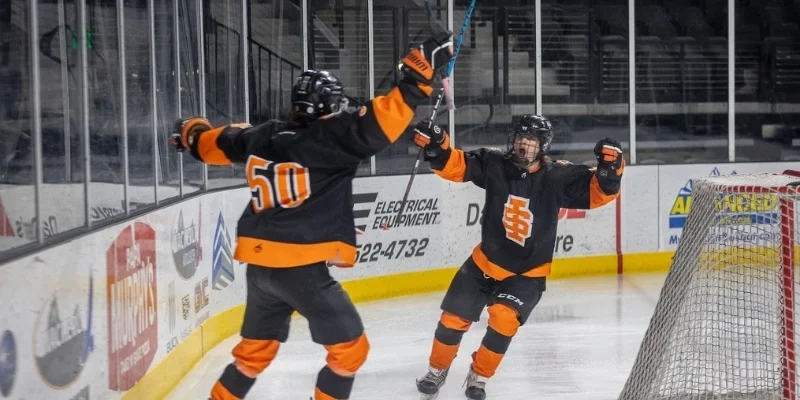 Hockey match performance analysis